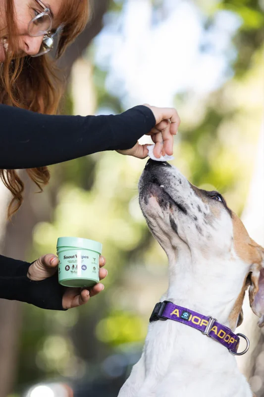 Perrito usando snout wipes