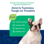 Probióticos y Enzimas Digestivas Masticables para Perros - Naturvet - Imagen 5