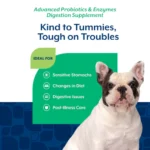 Probióticos y Enzimas Digestivas Masticables para Perros Scoopables - Naturvet - Imagen 5