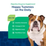 Enzimas Digestivas Masticables para Perros con Prebióticos y Probióticos- Naturvet - Imagen 5