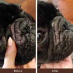 Bálsamo para Arrugas de Perros Wrinkle Balm - Natural Dog Company - Imagen 9