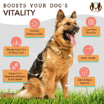 Aceite de Salmón Salvaje de Alaska - Natural Dog Company - Imagen 4