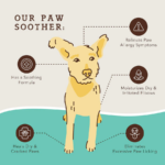 Bálsamo de Patas para Perros Paw Soother - Natural Dog Company - Imagen 3