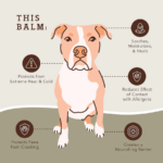 Bálsamo Protector de Patas para Perros PawTection - Natural Dog Company - Imagen 3