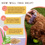Spray Desodorizante Calmante de Lavanda Calming Spritz  - Natural Dog Company - Imagen 3