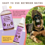 Spray Desodorizante Calmante de Lavanda Calming Spritz  - Natural Dog Company - Imagen 4