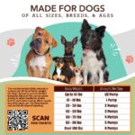 Suplemento Aceite para las Articulaciones Hip & Joint - Natural Dog Company - Imagen 6