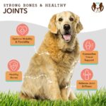 Suplemento Aceite para las Articulaciones Hip & Joint - Natural Dog Company - Imagen 2