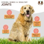 Suplemento Masticable para las Articulaciones Hip & Joint - Natural Dog Company - Imagen 2