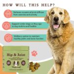 Suplemento Masticable para las Articulaciones Hip & Joint - Natural Dog Company - Imagen 3