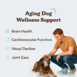 Senior Support Chews – Suplemento Natural para Perros Mayores - Natural Dog Company - Imagen 6