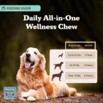 Senior Support Chews – Suplemento Natural para Perros Mayores - Natural Dog Company - Imagen 5