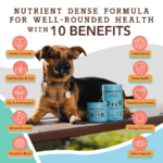 Suplemento Multivitamínico Masticable para Perros - Natural Dog Company - Imagen 2