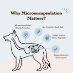 Probióticos Masticables para Perros Dog Probiotics - Natural Dog Company - Imagen 5