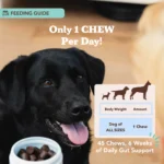 Probióticos Masticables para Perros Dog Probiotics - Natural Dog Company - Imagen 3