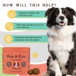 Suplemento Masticable de Piel y Pelaje Skin & Coat para Perros - Natural Dog Company - Imagen 3