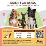Suplemento Aceite para Piel y Pelaje Skin & Coat para Perros - Natural Dog Company - Imagen 6
