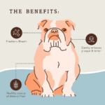 Snack Palitos Dentales para Perros Dental Treats - Natural Dog Company - Imagen 5