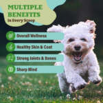 Suplemento Super Greens para Perros - Superfoods Natural Dog Company - Imagen 3