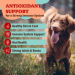 Suplemento de Antioxidantes para Perros - Superfoods Natural Dog Company - Imagen 4