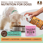 Shampoo para Alergias y Picazón Itchy Dog  - Natural Dog Company - Imagen 2