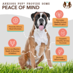 Shampoo para Alergias y Picazón Itchy Dog  - Natural Dog Company - Imagen 8