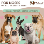 Toallitas para la Nariz Snout Wipes - Natural Dog Company - Imagen 3
