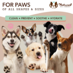 Toallitas para las Patas Paw Wipes - Natural Dog Company - Imagen 6
