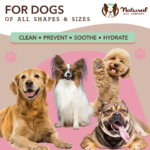 Toallitas Limpiadoras para Perros  - Natural Dog Company - Imagen 7