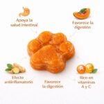 Heladitos Digestive Boost - Amor Natural - Imagen 2