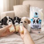 Leche de Cabra Pasteurizada - 900ml - Amor Natural - Imagen 5