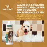 Septiderm-V y sus beneficios para aliviar la picazón, junto a un perro durante el baño